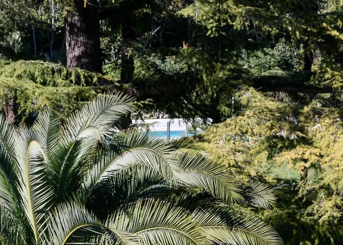 Spacieux 3p En Avec Piscine - Spacieux 3p En Avec Piscine Mae-3033 Cannes